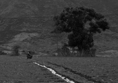Proyecto de antropología visual @laguachimania en Ecuador