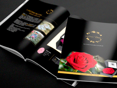 marketing2 diseno de libros